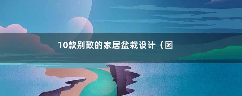 10款别致的家居盆栽设计（图）