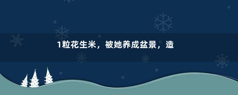 1粒花生米，被她养成盆景，造型比绿萝好看！