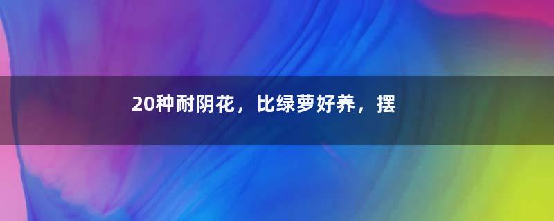 20种耐阴花，比绿萝好养，摆客厅名贵又有范儿！