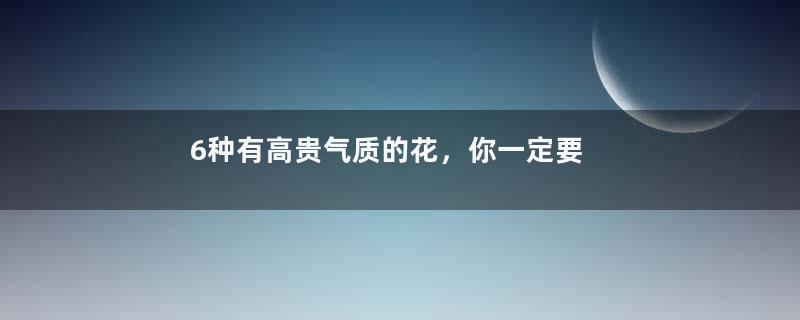 6种有高贵气质的花，你一定要养一盆！