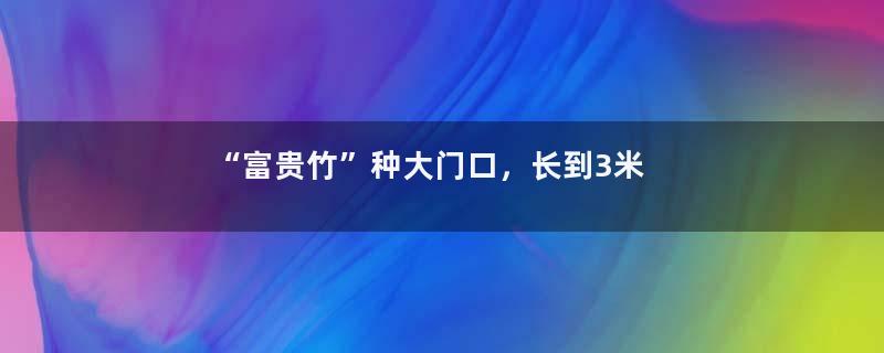 “富贵竹”种大门口，长到3米高，路人都惊呆！