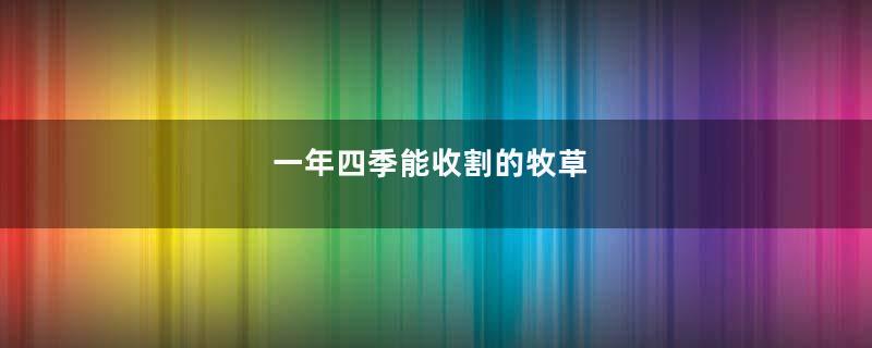 一年四季能收割的牧草