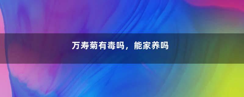 万寿菊有毒吗，能家养吗