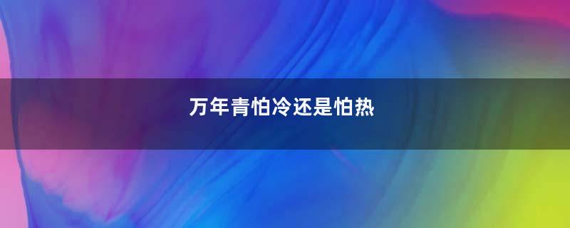 万年青怕冷还是怕热