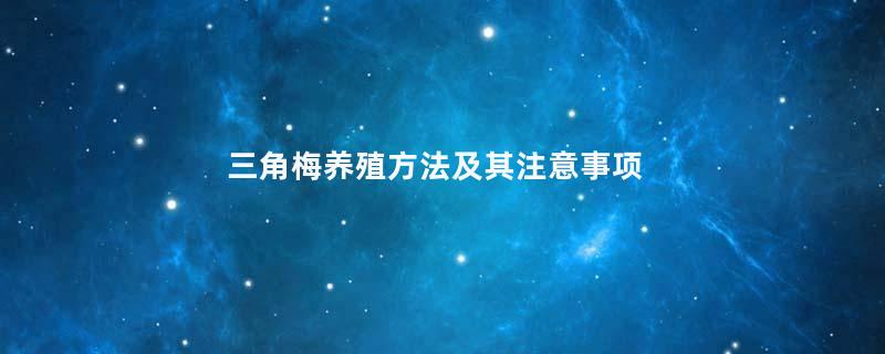 三角梅养殖方法及其注意事项