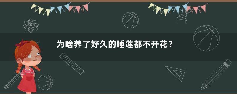 为啥养了好久的睡莲都不开花？原来是这几个原因引起得！