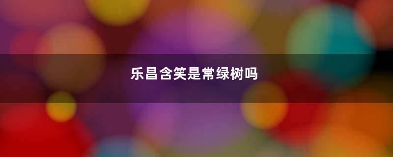 乐昌含笑是常绿树吗