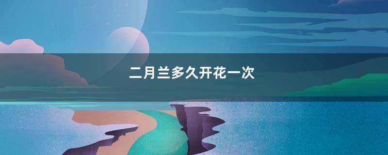 二月兰多久开花一次