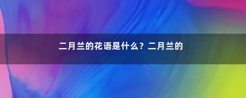二月兰的花语是什么？二月兰的寓意和象征