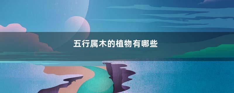 五行属木的植物有哪些