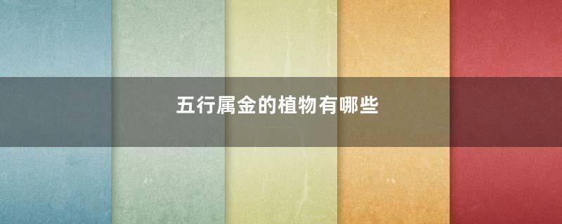 五行属金的植物有哪些
