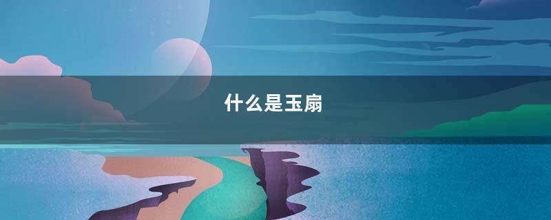 什么是玉扇