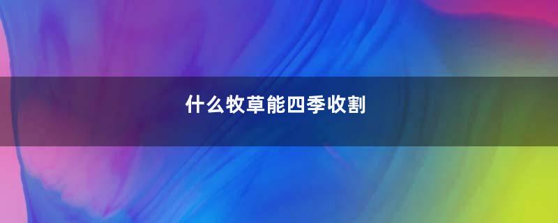 什么牧草能四季收割