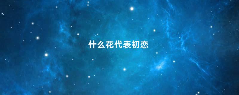 什么花代表初恋