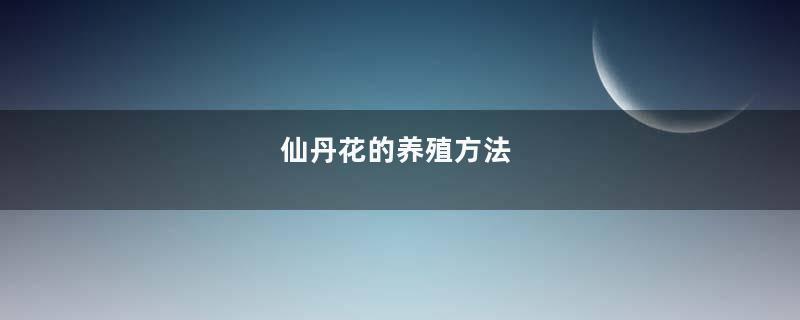 仙丹花的养殖方法