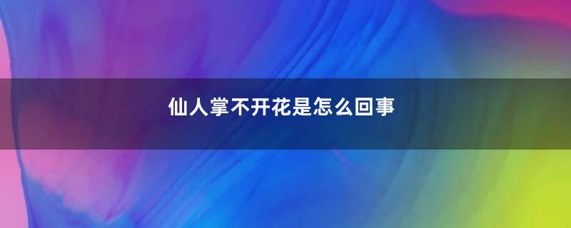 仙人掌不开花是怎么回事