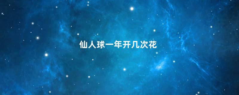 仙人球一年开几次花