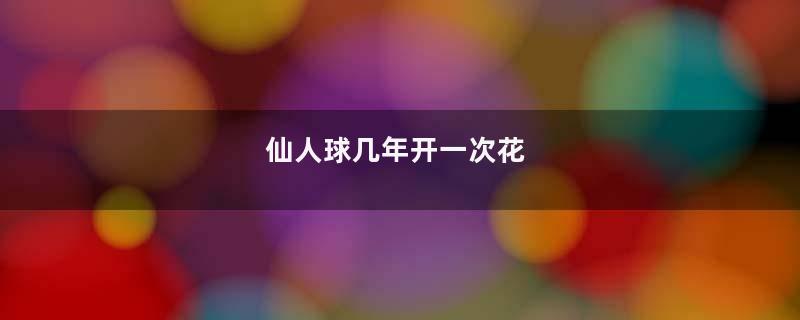 仙人球几年开一次花