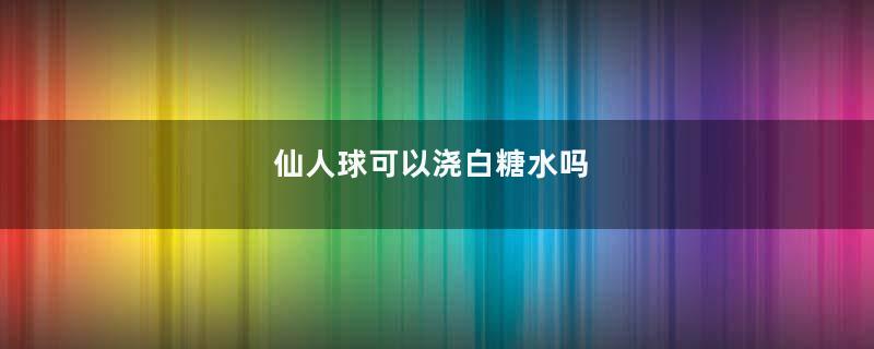 仙人球可以浇白糖水吗