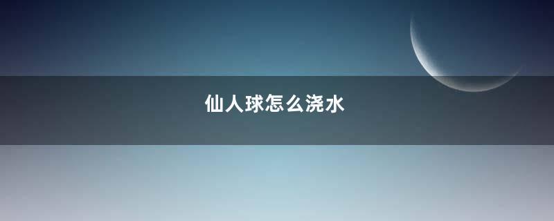 仙人球怎么浇水