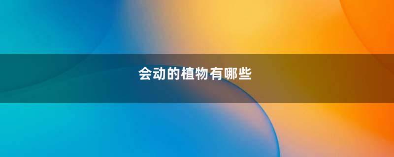 会动的植物有哪些