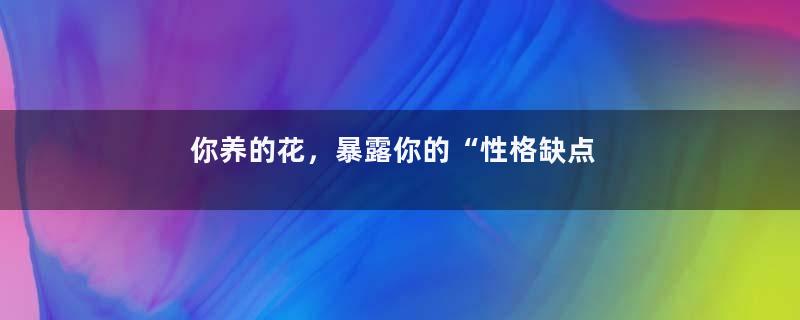 你养的花，暴露你的“性格缺点”，神准！