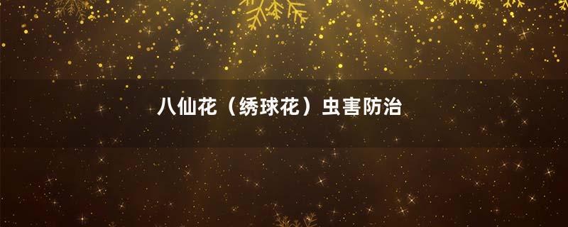 八仙花（绣球花）虫害防治