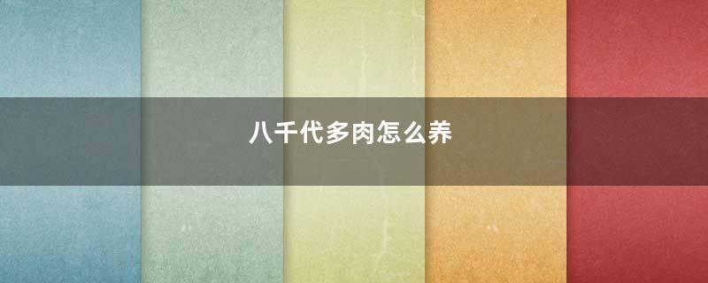 八千代多肉怎么养
