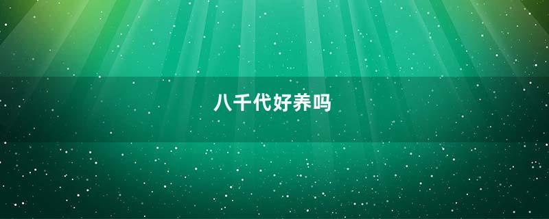 八千代好养吗