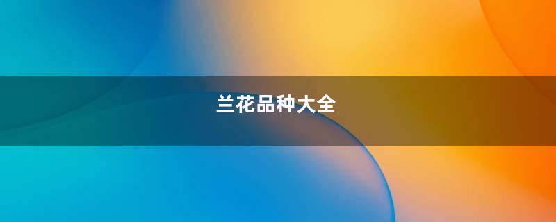 兰花品种大全