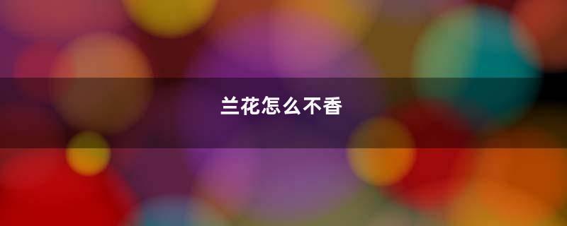 兰花怎么不香