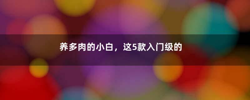 养多肉的小白，这5款入门级的普货品种值得一看