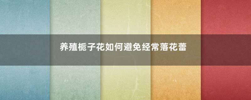 养殖栀子花如何避免经常落花蕾