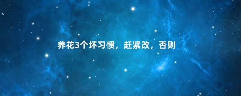 养花3个坏习惯，赶紧改，否则啥花都养不活！