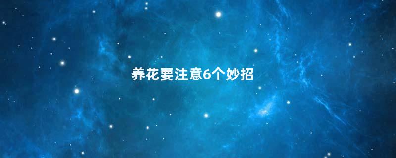 养花要注意6个妙招