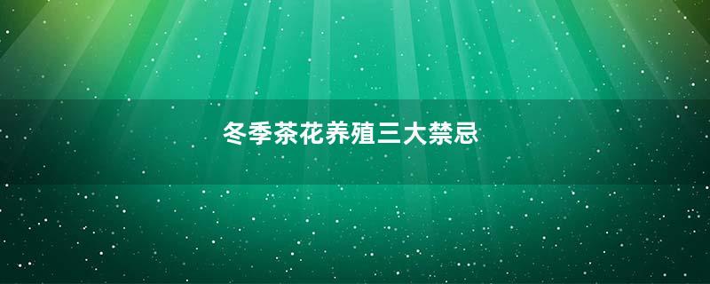 冬季茶花养殖三大禁忌