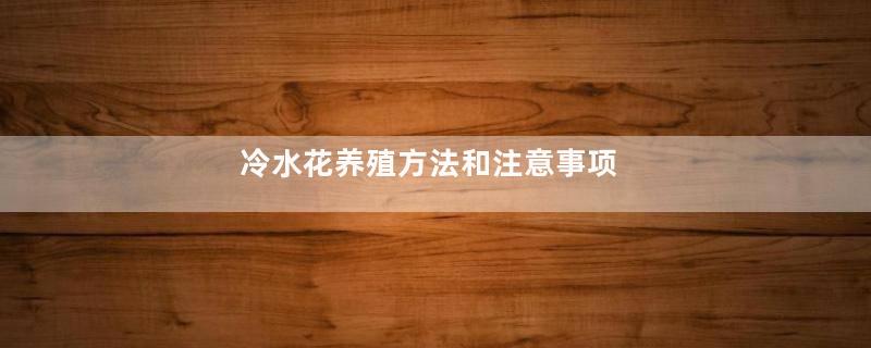 冷水花养殖方法和注意事项