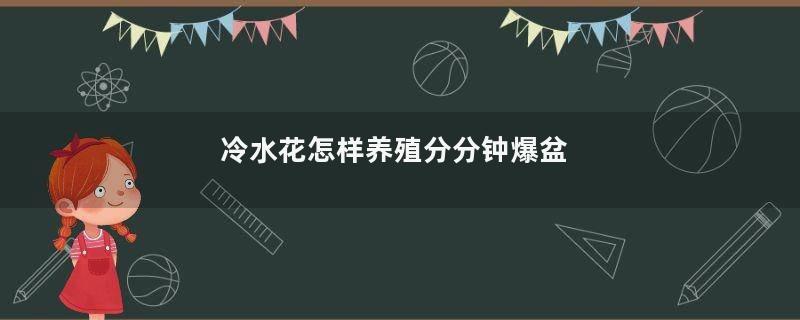冷水花怎样养殖分分钟爆盆