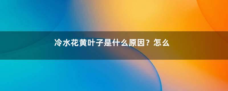 冷水花黄叶子是什么原因？怎么办？