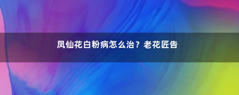 凤仙花白粉病怎么治？老花匠告诉你怎么防治！