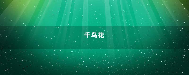 千鸟花