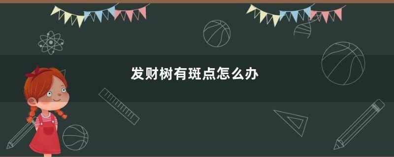 发财树有斑点怎么办