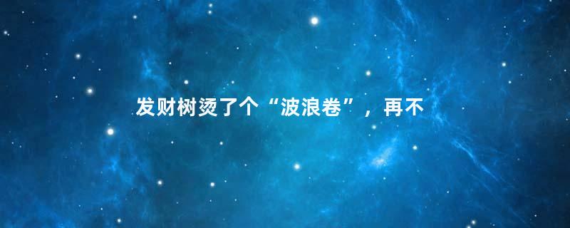 发财树烫了个“波浪卷”，再不管，就离死不远了！