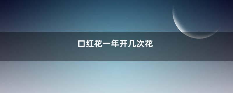 口红花一年开几次花