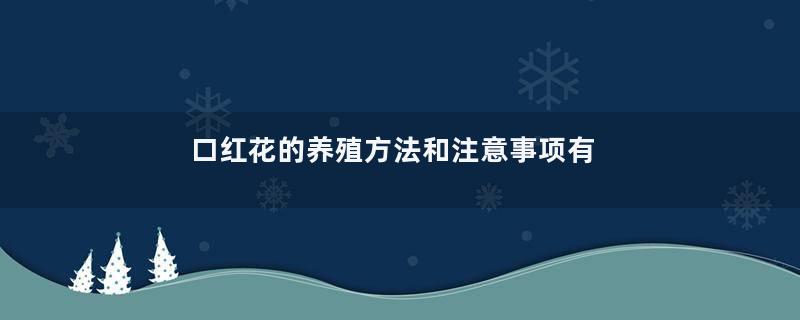 口红花的养殖方法和注意事项有哪些
