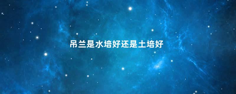 吊兰是水培好还是土培好