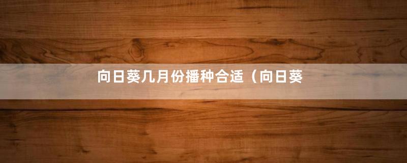 向日葵几月份播种合适（向日葵种子的种植方法和时间）