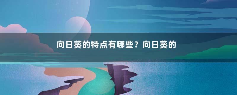 向日葵的特点有哪些？向日葵的特点简介