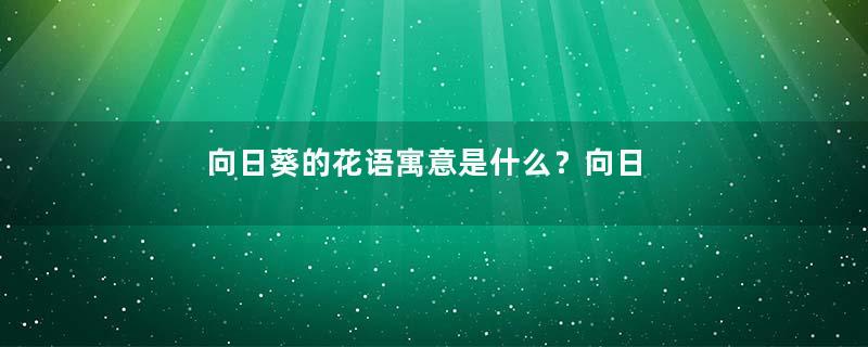 向日葵的花语寓意是什么？向日葵的花语介绍