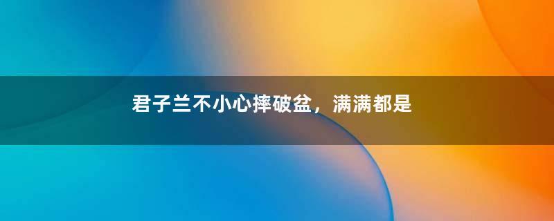 君子兰不小心摔破盆，满满都是大白根，比拇指还粗！
